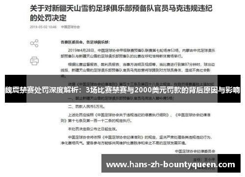 魏震禁赛处罚深度解析：3场比赛禁赛与2000美元罚款的背后原因与影响